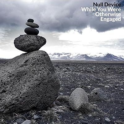 While You Were Otherwise Engaged