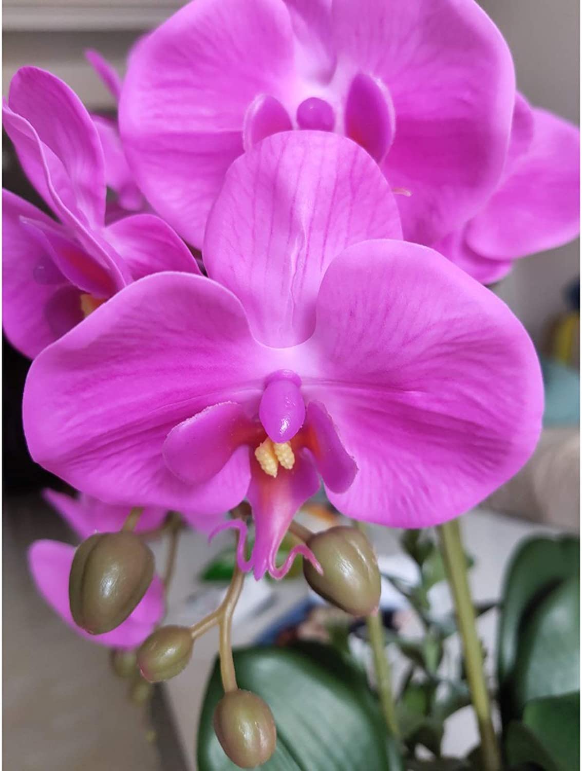 Fiori artificiali Fiori artificiali Vaso decorativo in porcellana Lattice di poliuretano Fiori artificiali Phalaenopsis Vaso per piante Bellissimo,