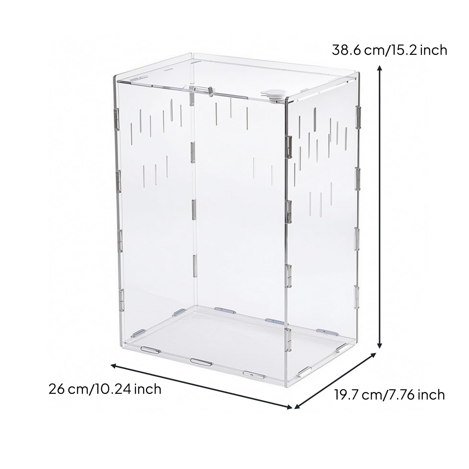 Terrarium avec Couvercle Verrouillable, 26 X 19,7 X 38,6 Cm, Vertical Grand Modèle sans Thermomètre-hygromètre