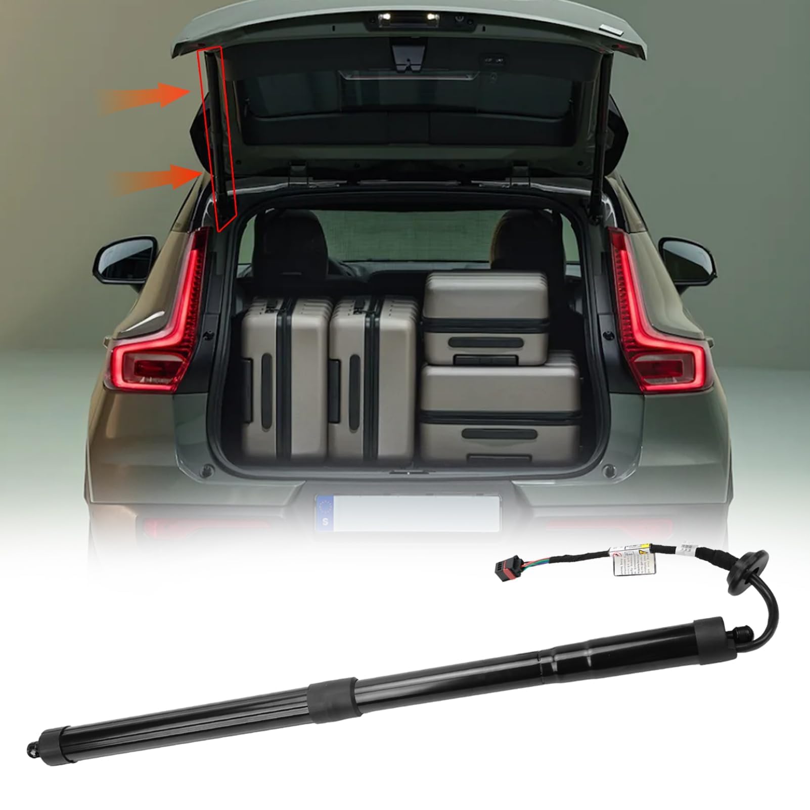 Amazon.com: 32296296 Rear Left Tailgate Power Lift Support Shock