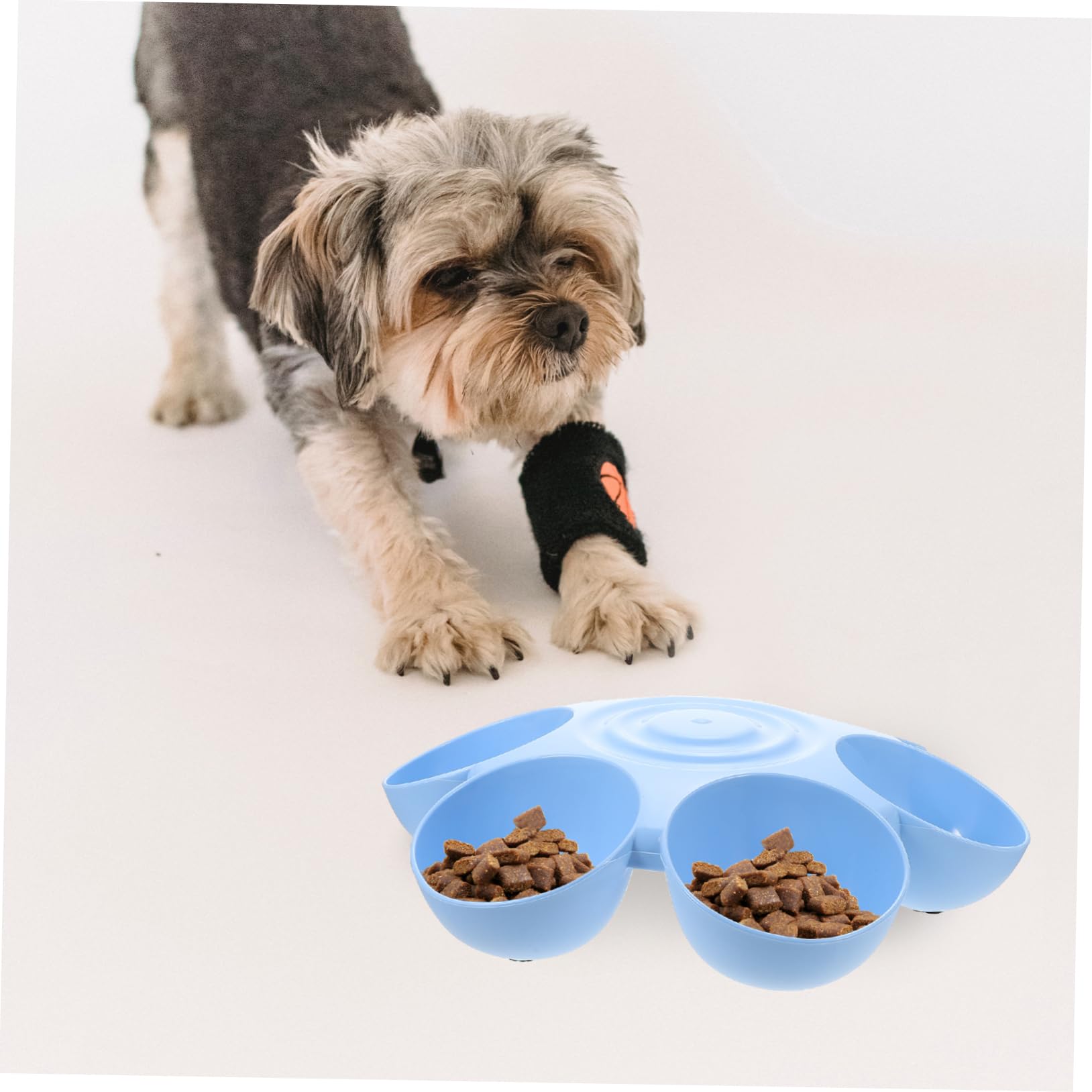 Toddmomy Elegant Flower Pet Bowl Plastic Cat Feeder Dog Cat Bowl Pet Treat Dispenser Easy Wash