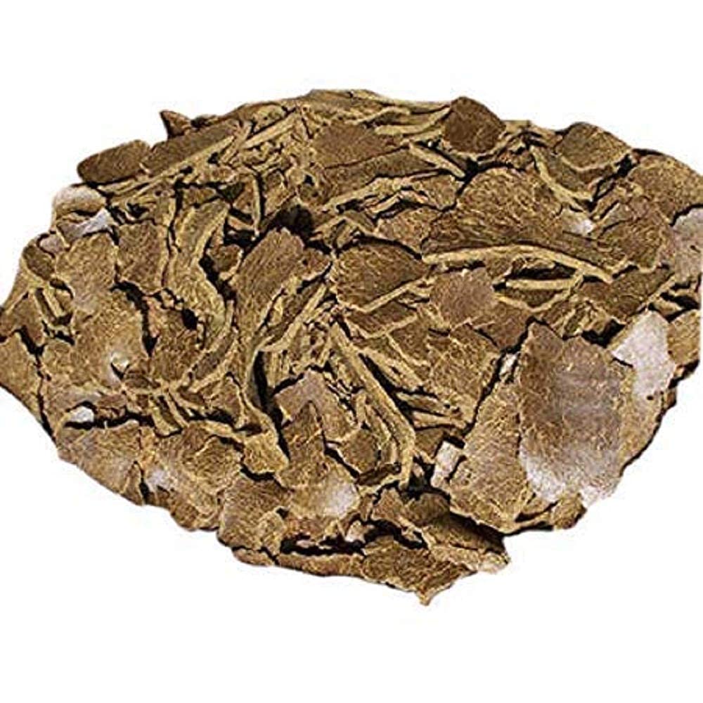 See full amazon price history chart for HomeStia ORGANIC Mustard Cake Fertilizer for Plants Growth (1800 Grms) HomeStia ORGANIC Mustard Cake Fertilizer for Plants Growth (1800 Grms) (B09T24NJY2) Amazon Price History, Amazon Price Tracker