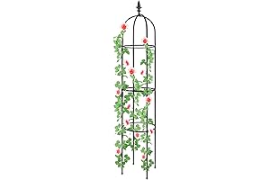 Tall and Sturdy Deaunbr Plant Cage and Support for Your Precious Plants