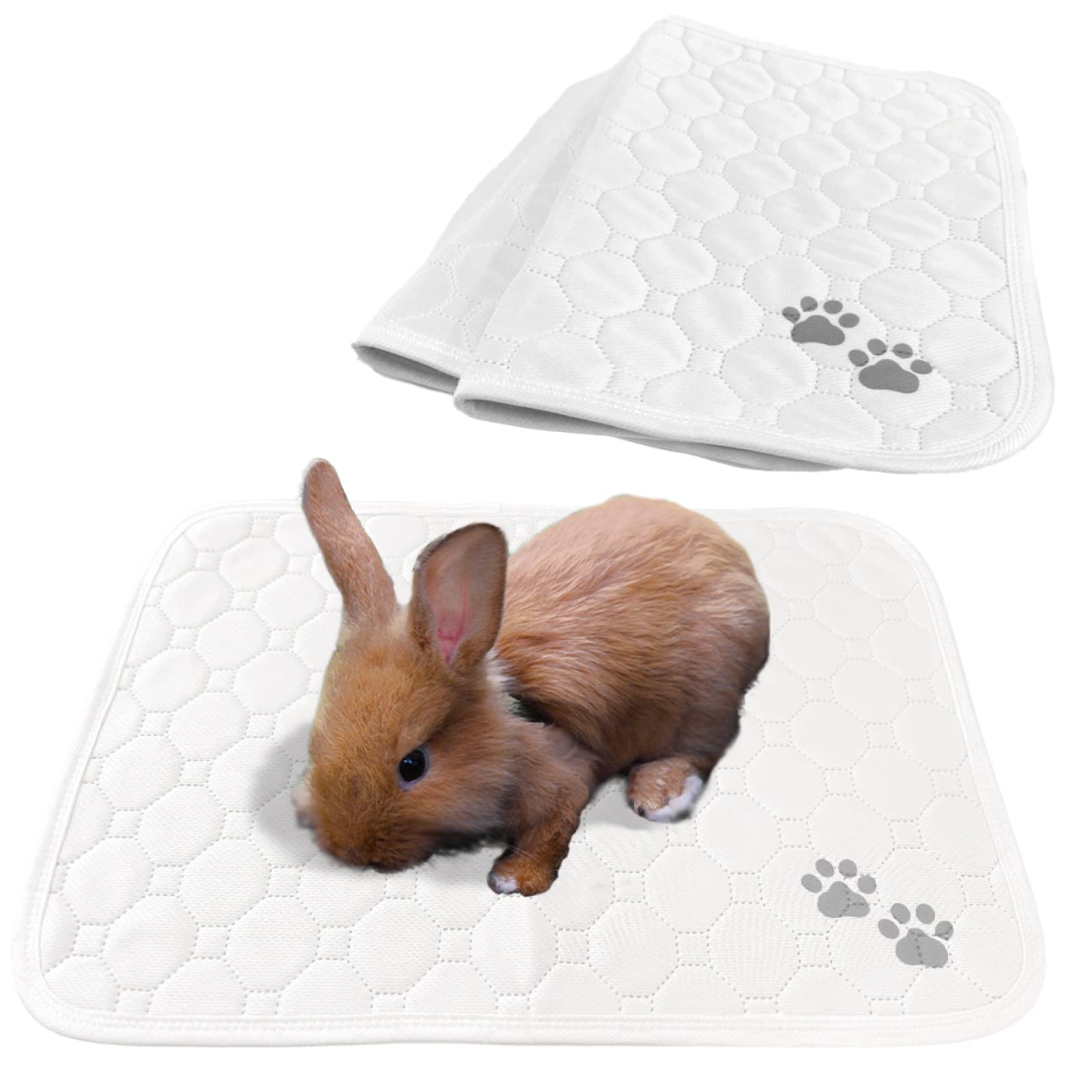 Amazon | PURPLE7 洗えるペットシーツ 2枚 犬 猫 吸水 防水 滑り止め