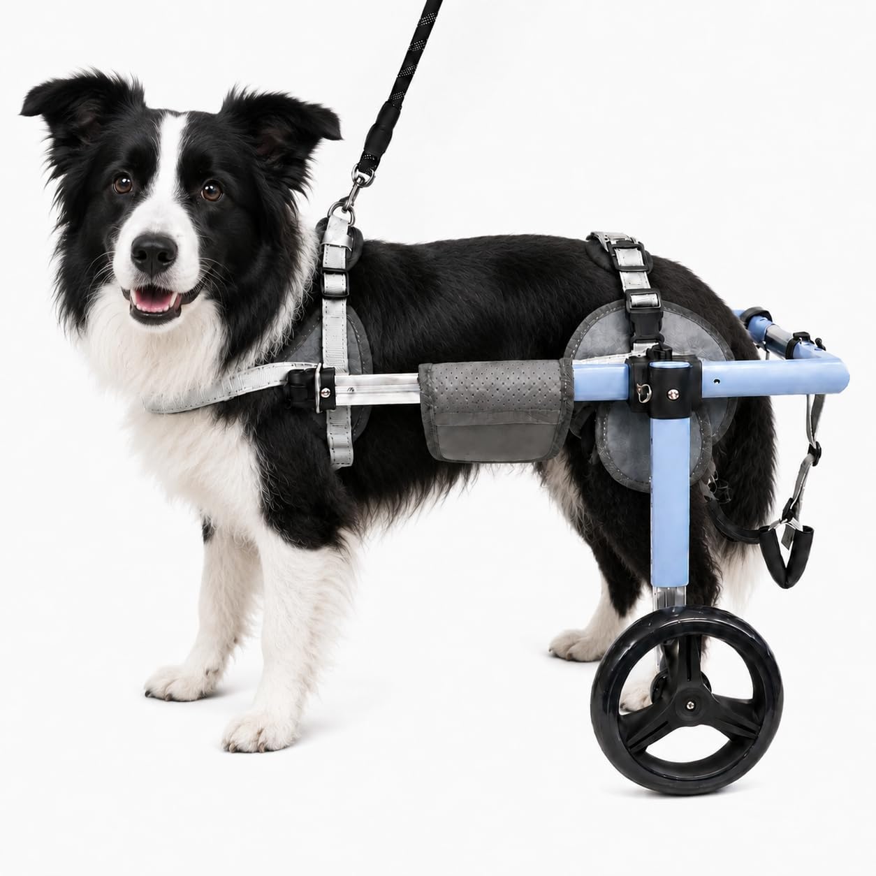 JoyKeeper Dog Wheelchair for Back Legs, Adjustable Rear Support, XS-XXL，M