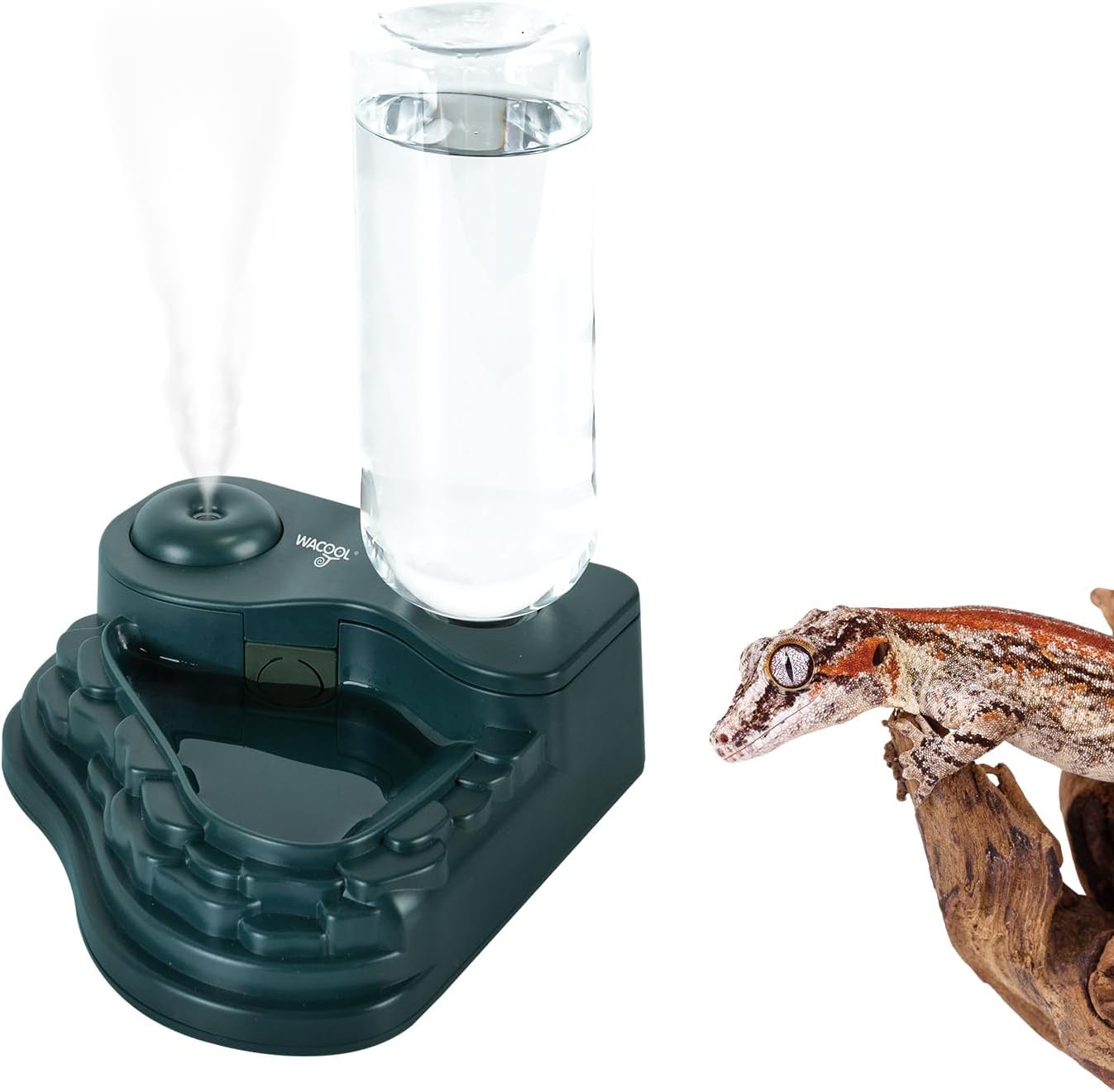 Reptile Fogger and Reptile Water Bowl 2 in 1, Mini Reptile