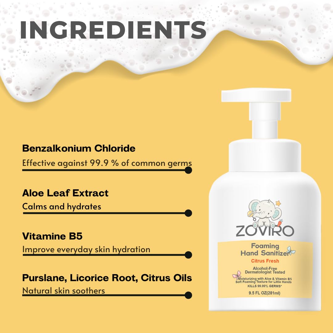 Zoviro Foaming Hand Sanitizer, 9.5oz Pump Bottle, Alcohol-Free, Citrus Fresh Scent, Moisturizing with Aloe, Non-sticky, No Rinse (PACK OF 4) - Image 2