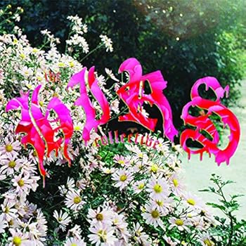 Vinyl Friends. Lovers. Favorites. (Pink Vinyl) Book