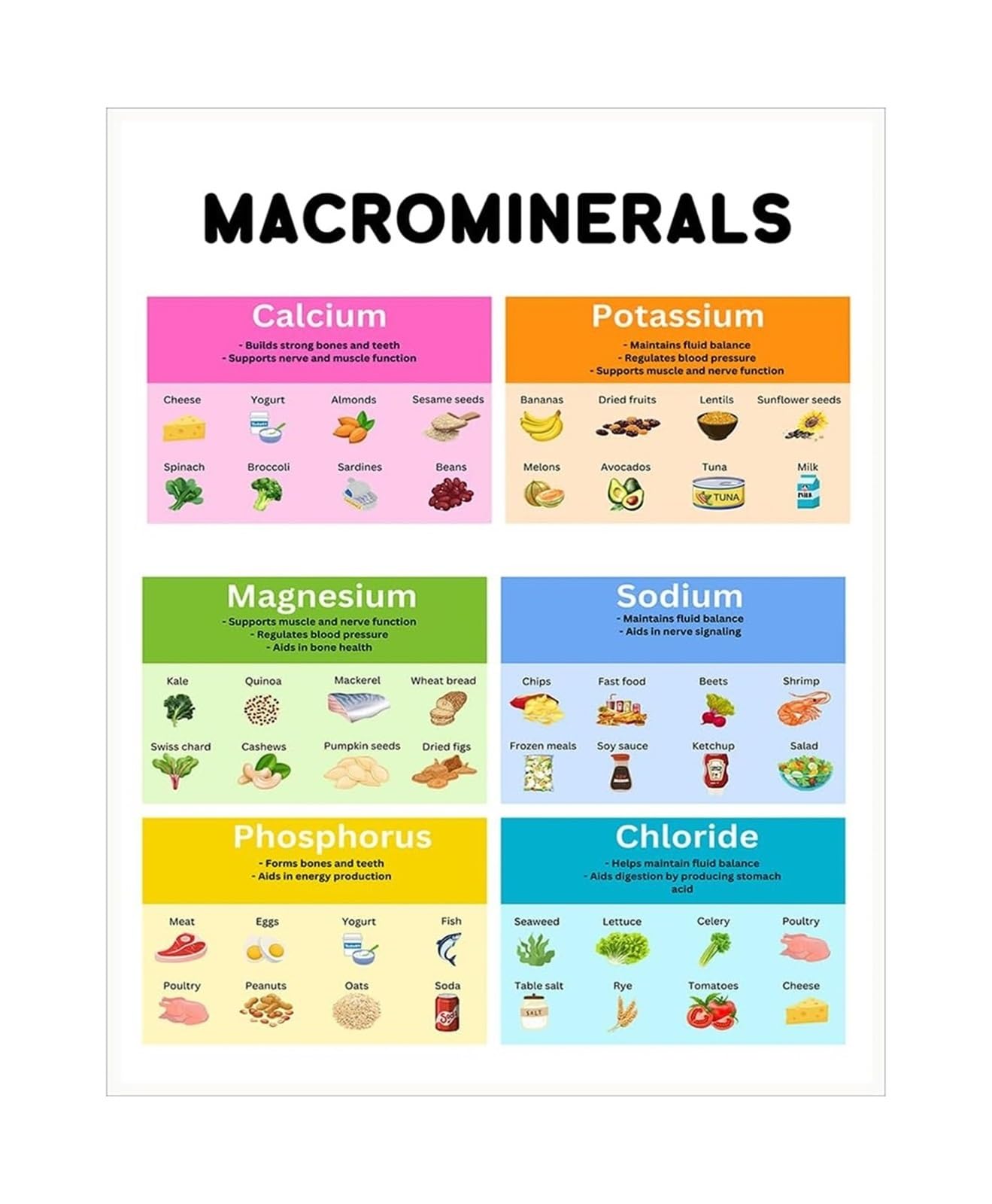 Poster vitamines et minéraux éducatif pour classe d'école et apprentissage