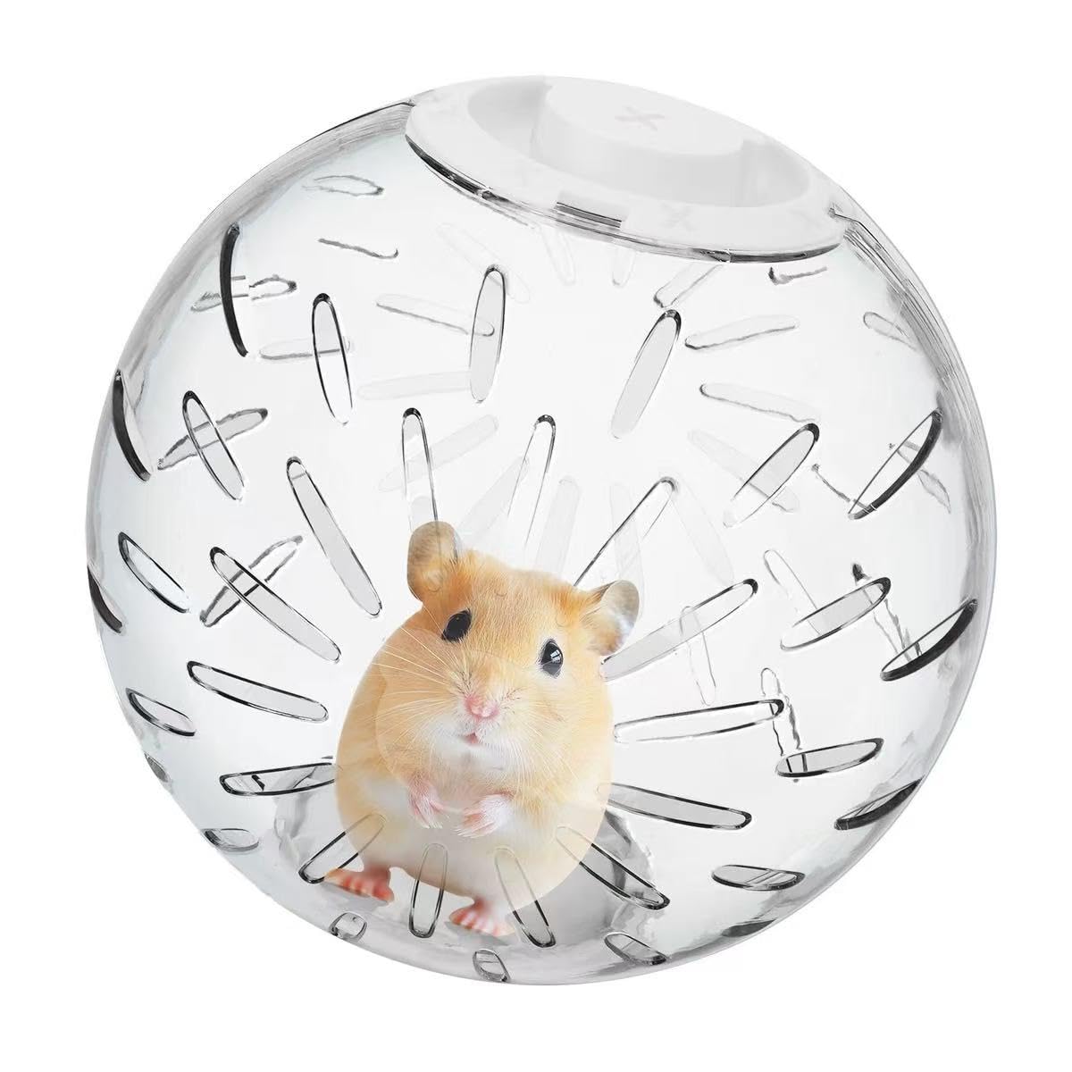 7.9'' Clear Plastic Hamster Exercise Ball, Transparent Rolling Activity Sphere, 20cm, with Ventilation Slots and White Lid