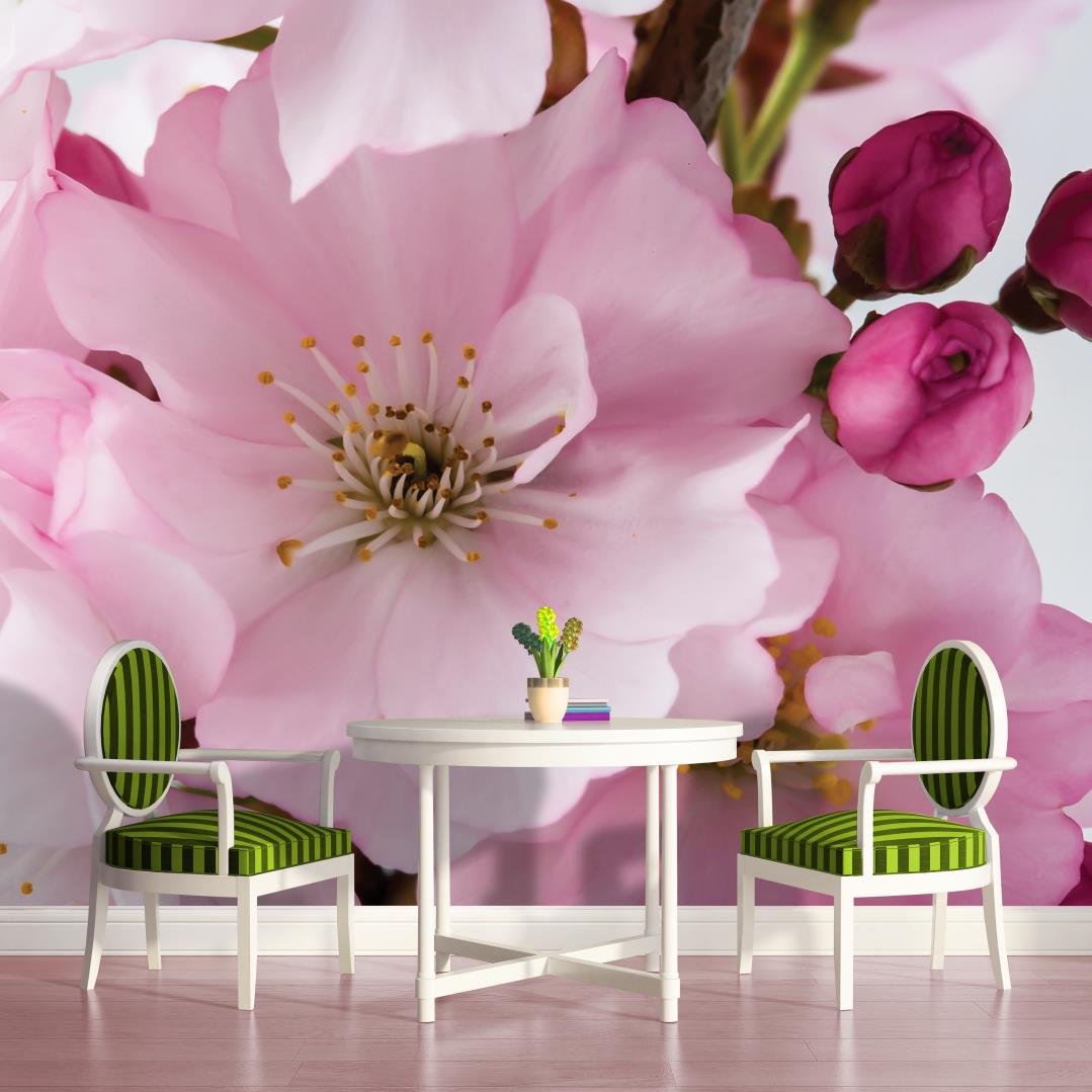 Papier Peint Panoramique Original Et Décor Mural