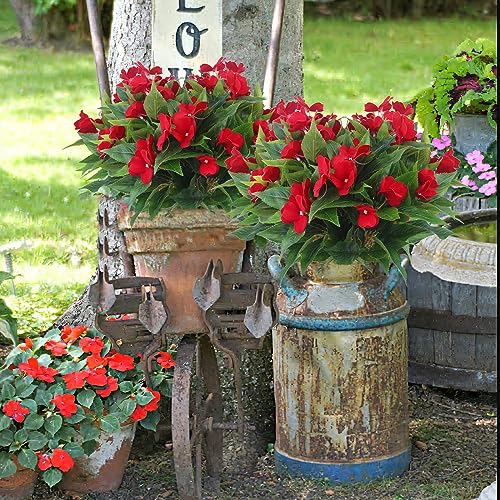 2 Pcs Artificial Impatiens Flowers for Outdoors Faux Impatiens Bushes Red Silk Flowers Greenery Faux Flowers for Outdoor Planters Patio Lawn Garden Balcony Pot Hanging Basket Porch image 7