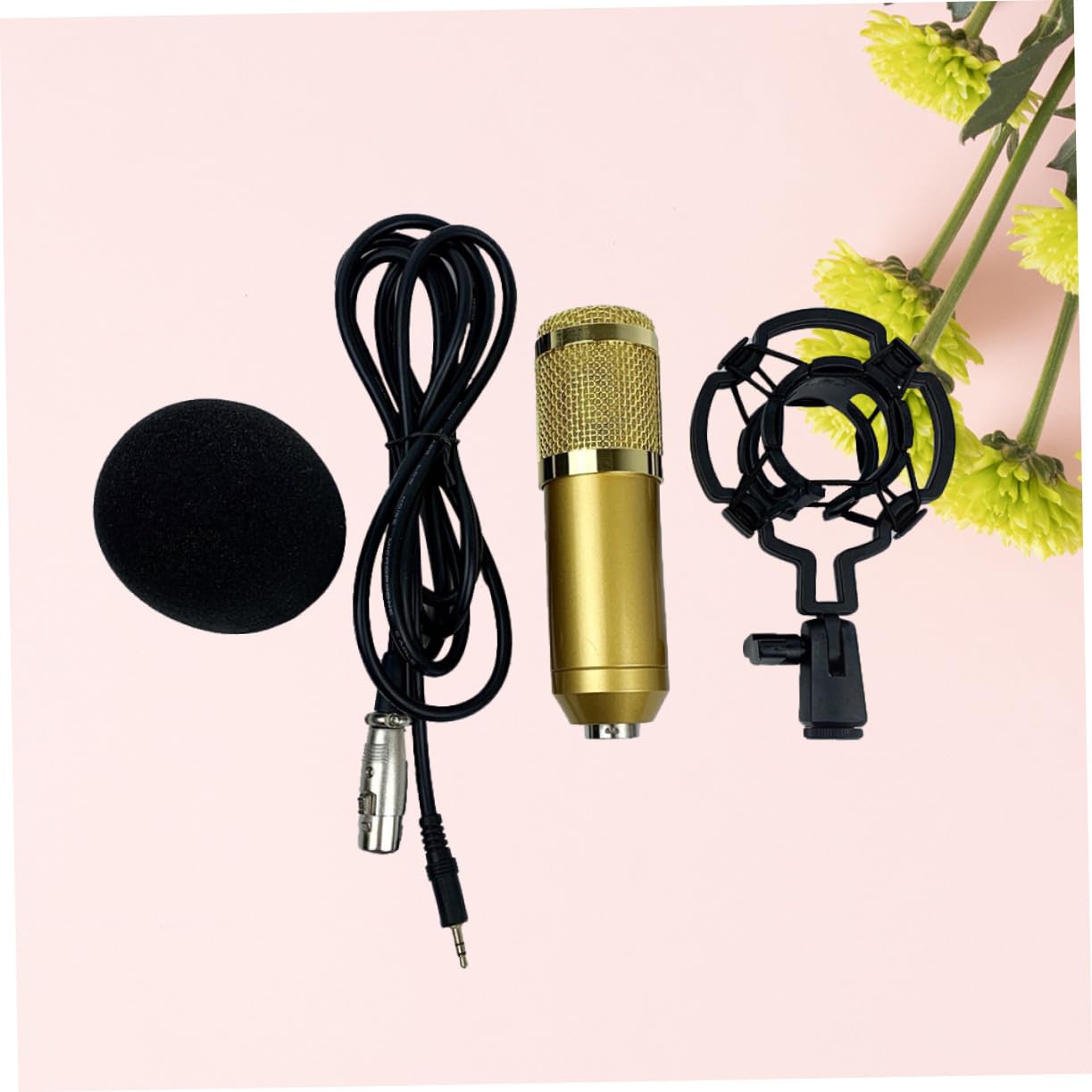 ifundom Micrófono de Condensador Bm-800 y Karaoke para Grabación Vocal