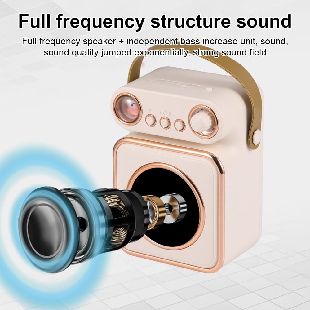 Hanzete - Mini macchina per karaoke, set con microfono e altoparlanti wireless, con 2 microfoni ricaricabili a LED, luce notturna colorata, altoparlante per karaoke, feste di compleanno, per il