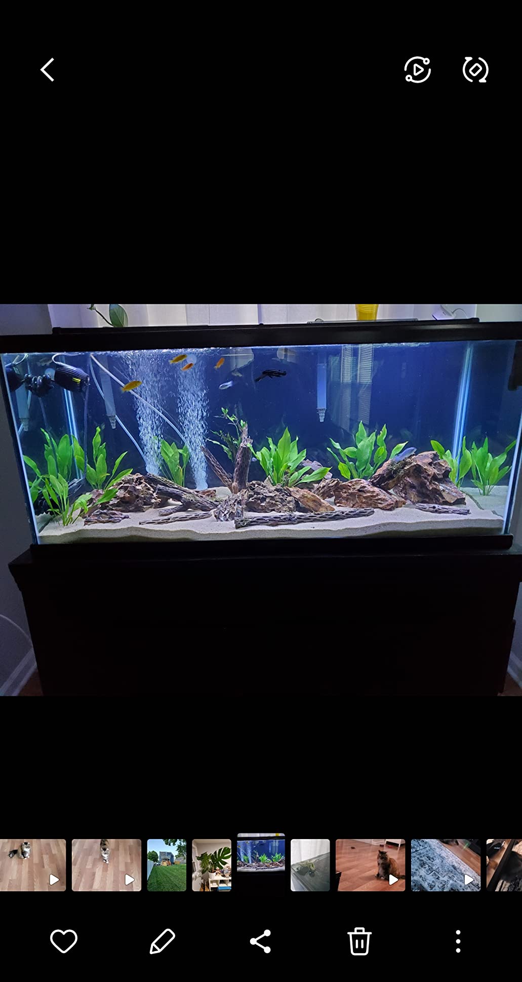 10/mo Finance NICREW ClassicLED Plus Planted Aquarium Light, Full