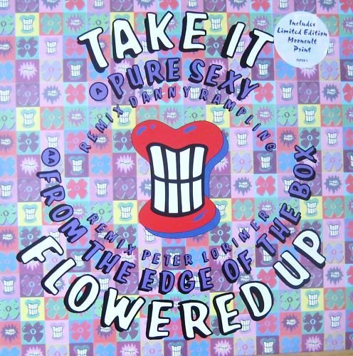 FLOWERED UP - 12"Single -Take It ,EX+