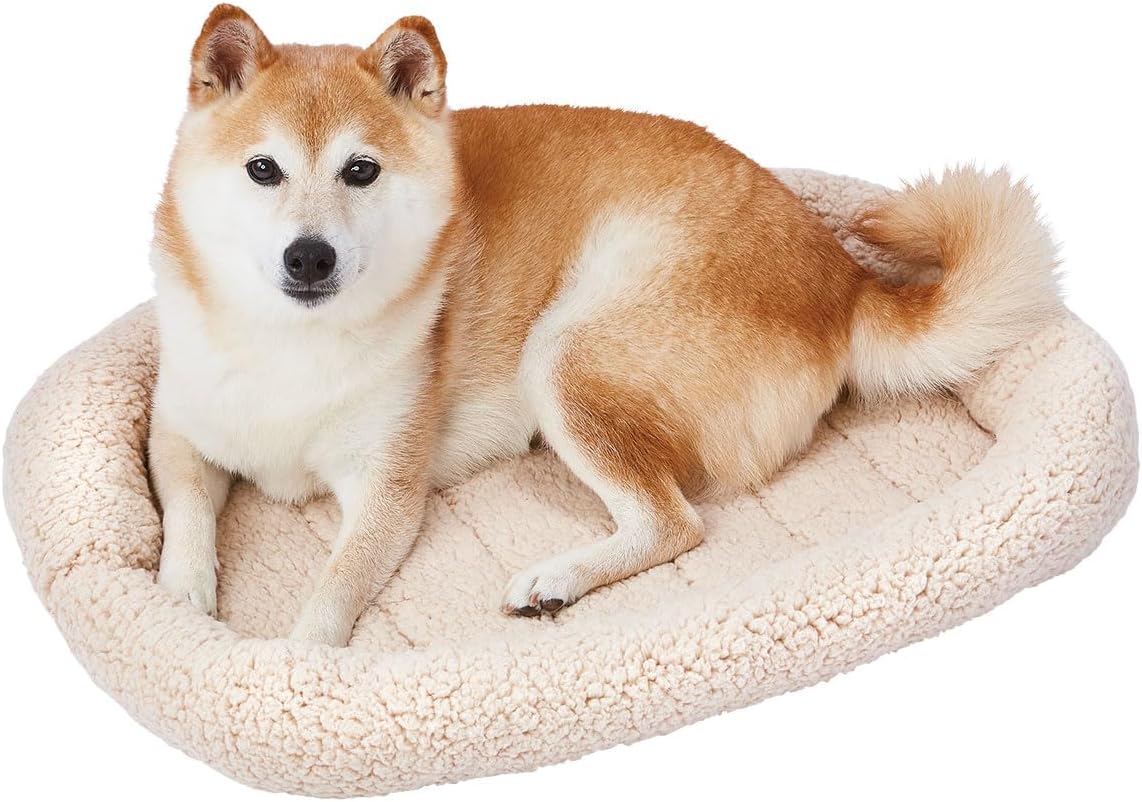 Cama Lavable para Perros y Gatos Tamaño Grande 65x50cm