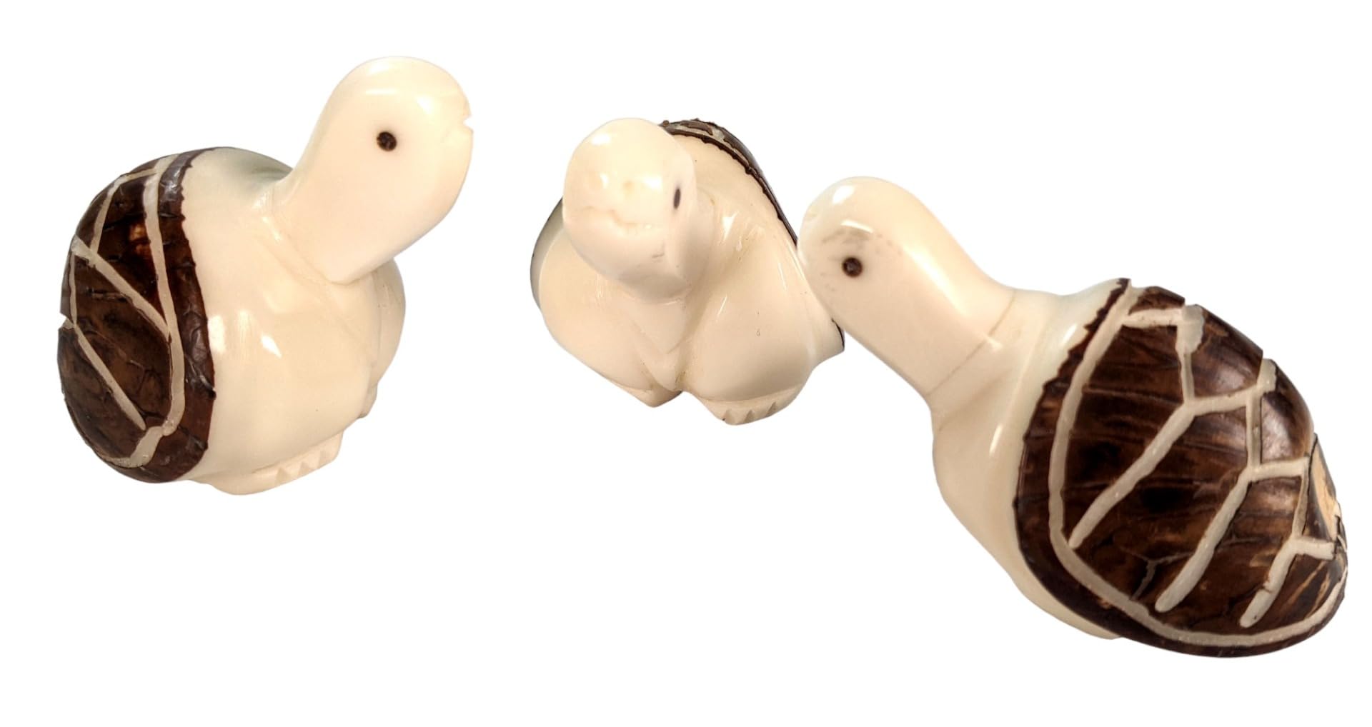 Terrapin Trading 1 x Fair Trade Ecuador Tagua Carving | Vegan Ivory | TURTLE
