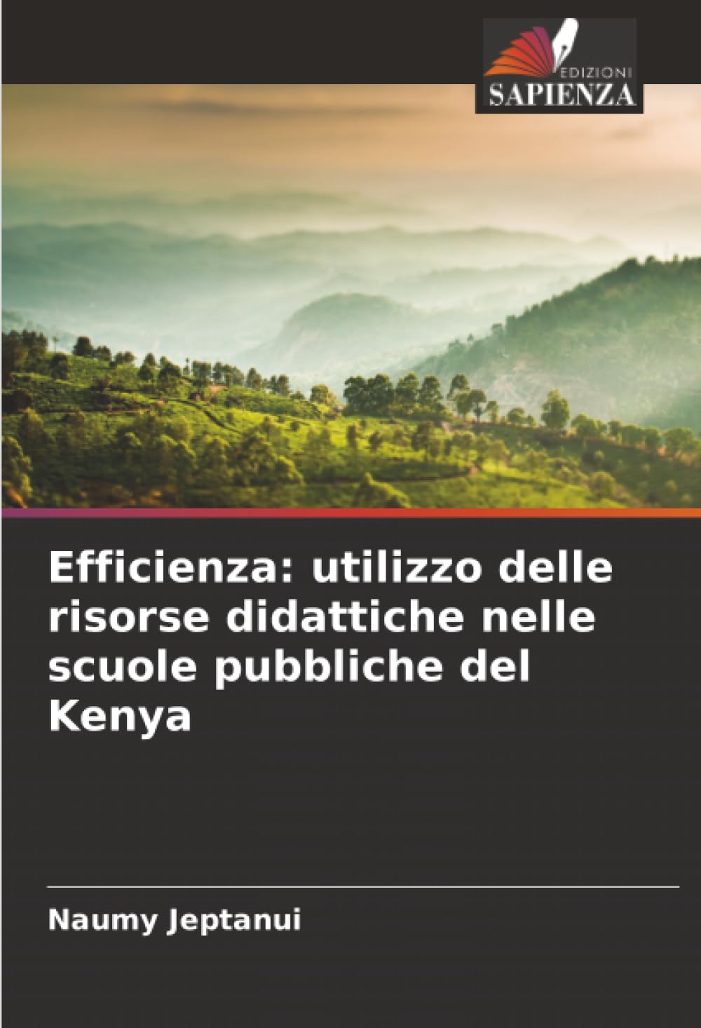 Efficienza: utilizzo delle risorse didattiche nelle scuole pubbliche del Kenya