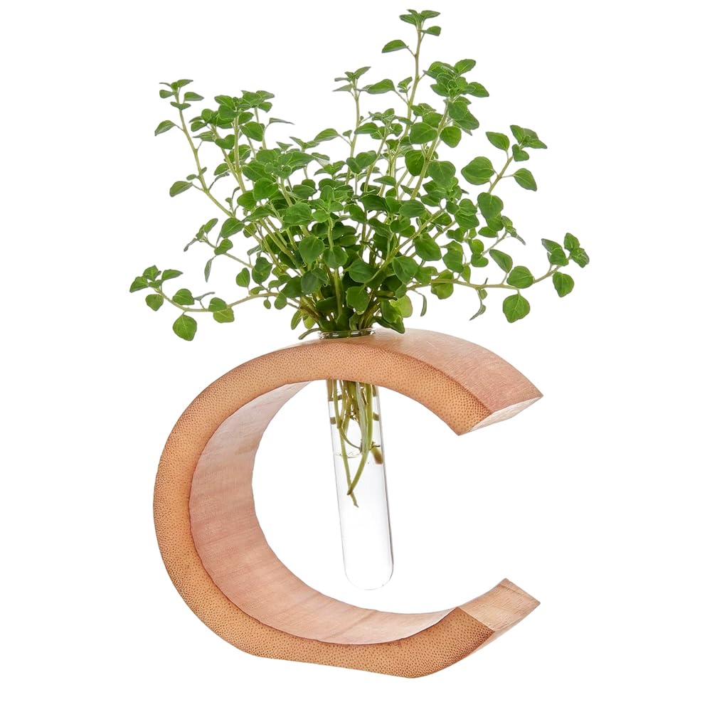 MAYJOYDIY Moon Plant Propagation Station, Plant Terrarium with Wooden Stand, Glass Test Tubes Plants Pots for Hydroponics for Women Mom Plants Lovers Gardening Gifts, Crescent Moon
