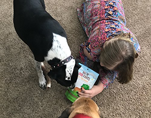 Bag Of Dog Farts Cotton Candy Funny Dog Lover Gift For All Ages Unique Birthday For Friends, Mom, Dad, Girl, Boy Funny Easter Basket Stuffer Gag Gift, 3 Ounces / 1 Pack #TOP3