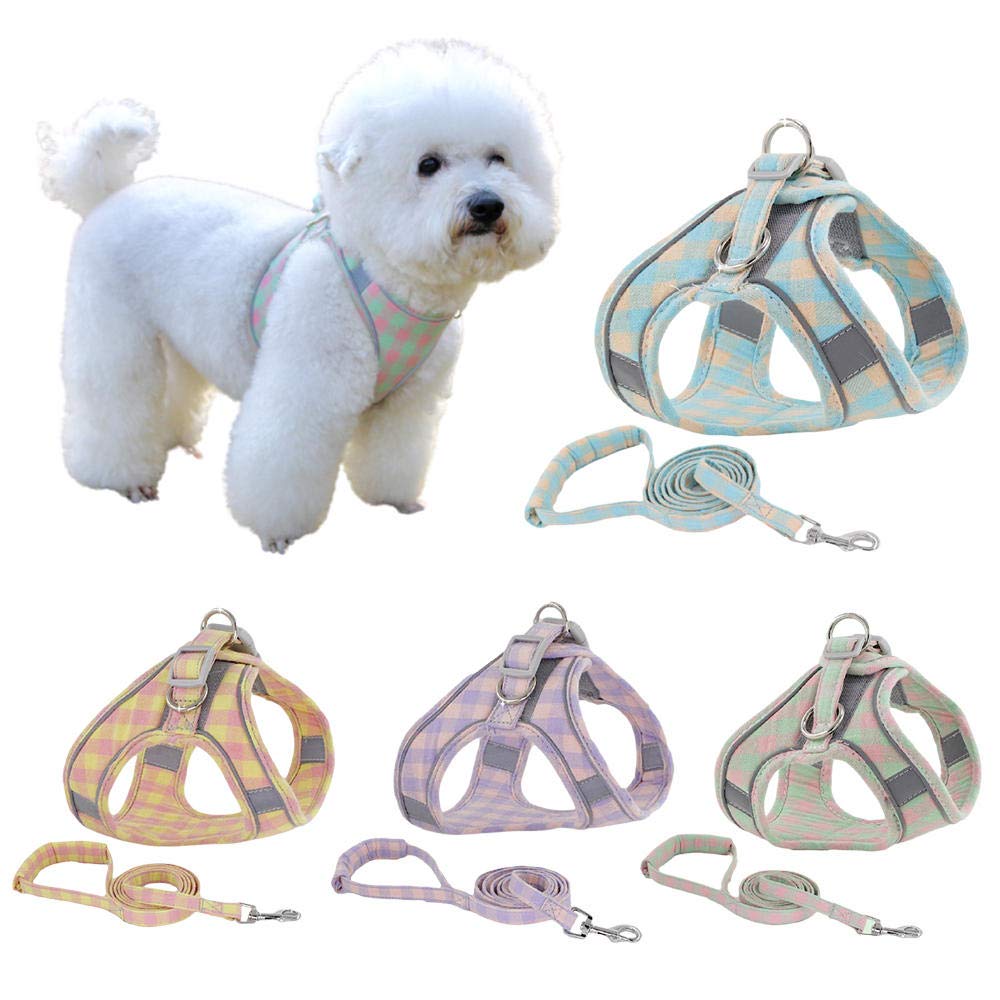 Correa para Mascotas, Chaleco Violeta, Collar Ajustable para Cachorros y Gatos, Juego de Correa para pasear, arneses, Collar para Perros pequeños, Talla M (XXL)