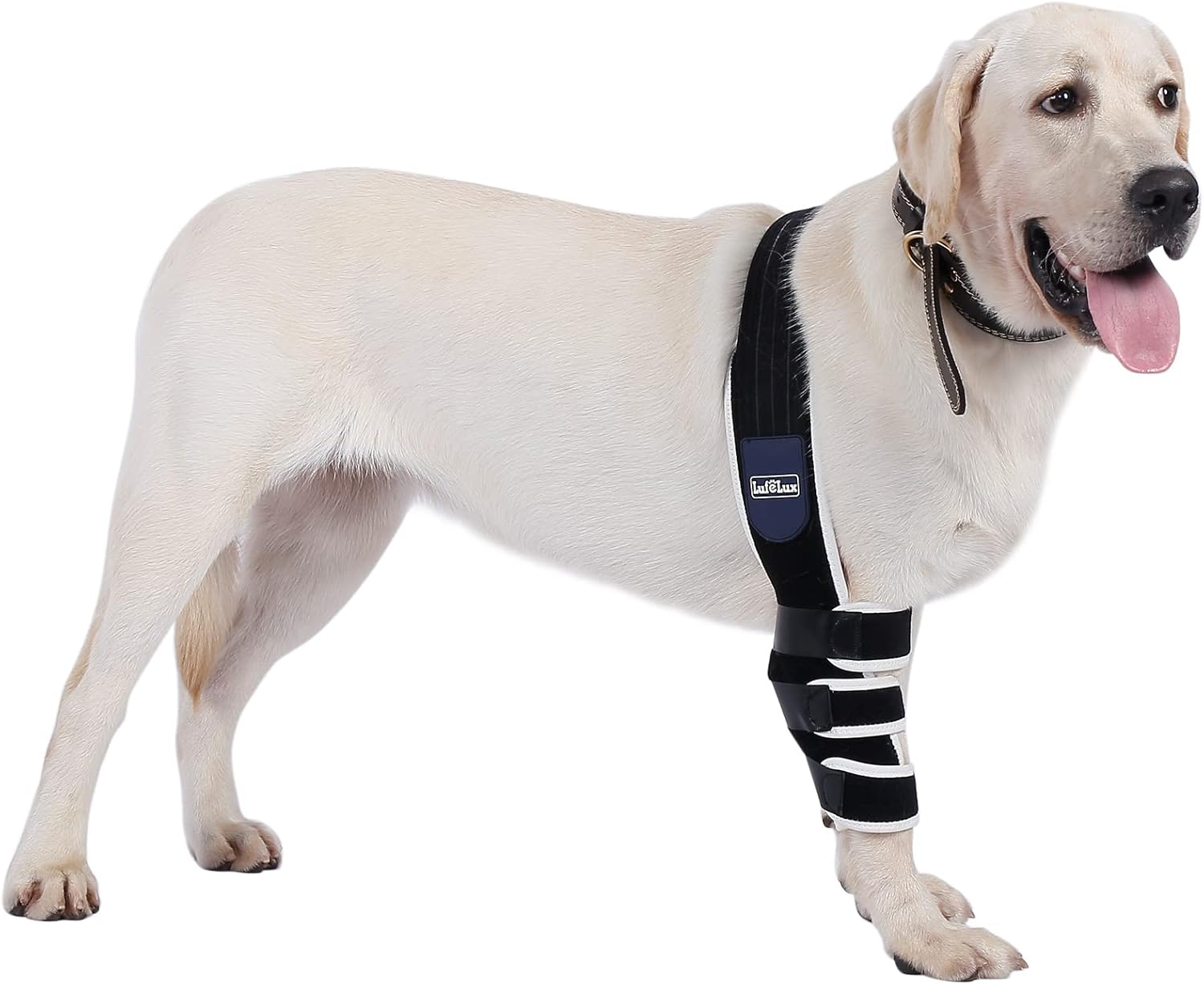 LufeLux Dog Elbow Brace, Elbow Pads for Dogs, Dog Elbow Protector, Dog