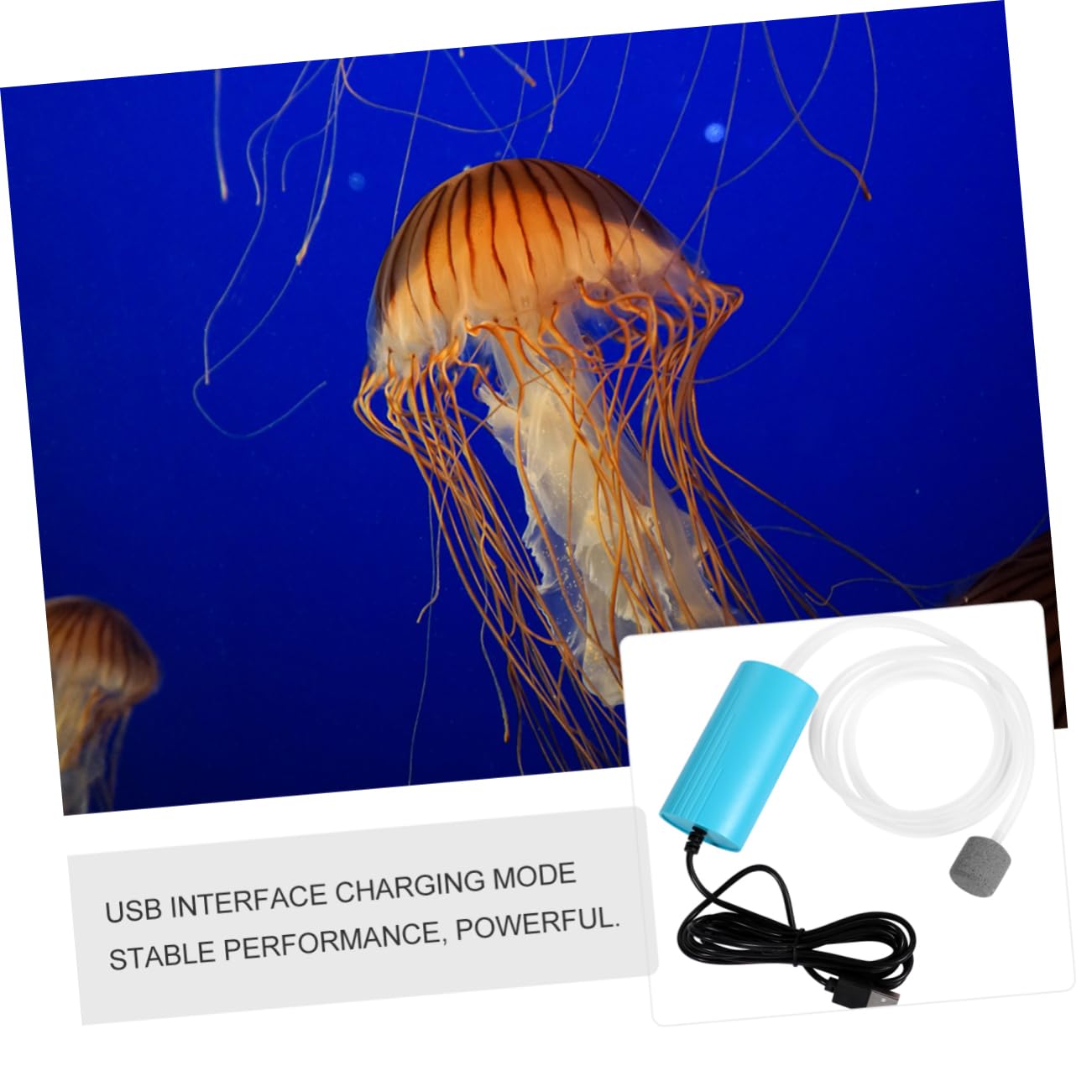 Happyyami Bomba De Oxigeno Pecera Bomba De Piedra Burbujeador De Acuario Bomba De Agua Hidropónica Minibomba De Aire Bomba Portátil Pequeño para Pecera Filtros para Peceras Abs Blue