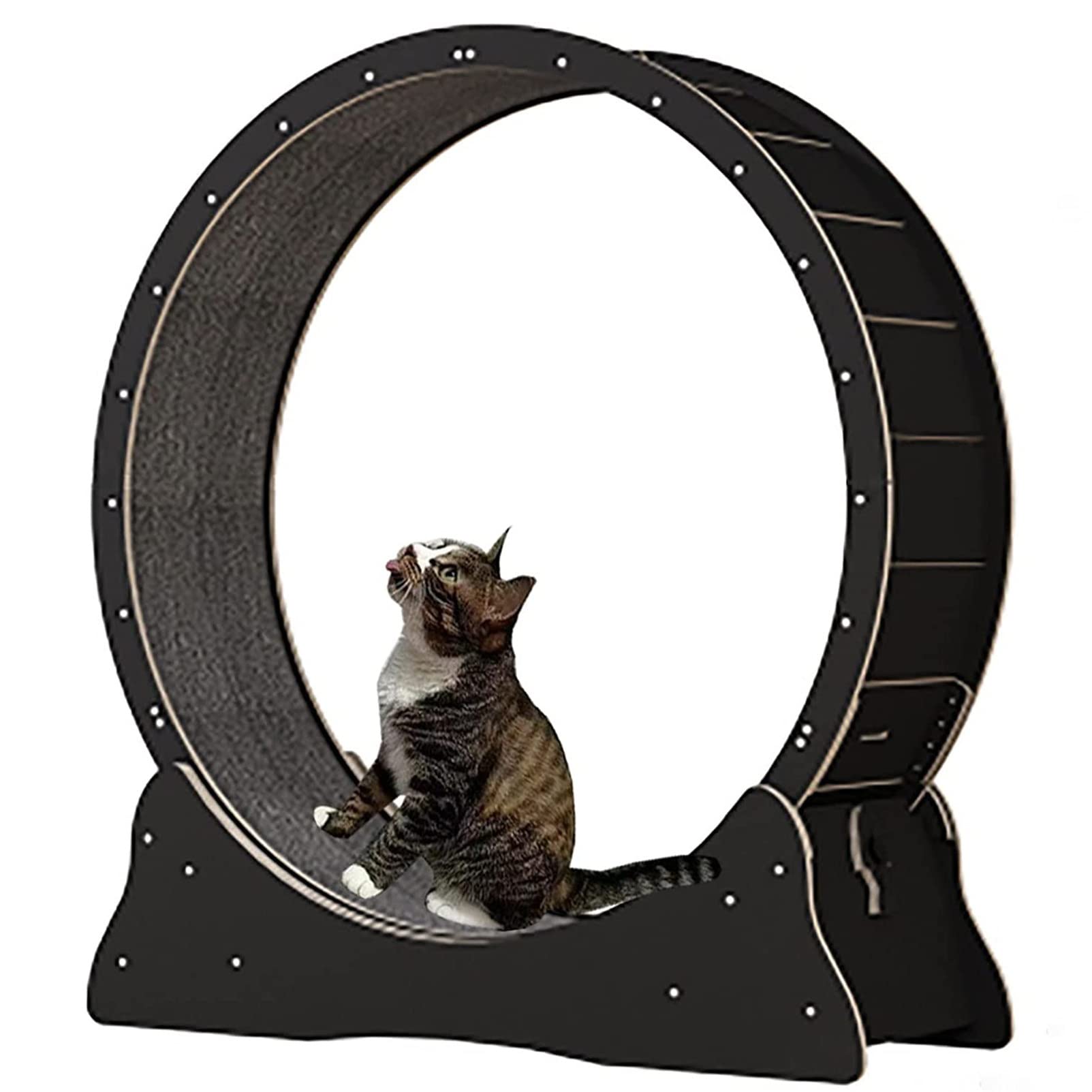 Rueda de ejercicio para gatos, cinta de correr interior para mascotas pequeñas, dispositivo de fitness y pérdida de peso, rueda para correr, juguete interactivo para mascotas, perfecto para jugar y