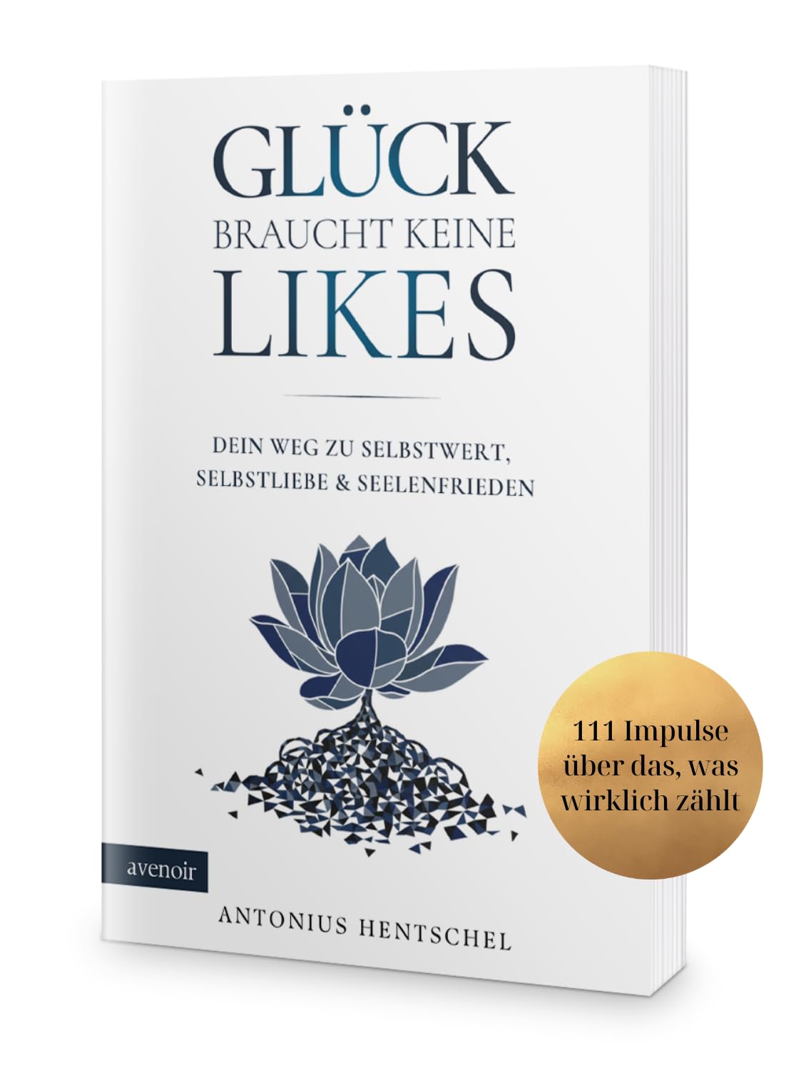 Glück braucht keine Likes: Dein Weg zu Selbstwert, Selbstliebe und Seelenfrieden - 111 Impulse über das, was wirklich zählt