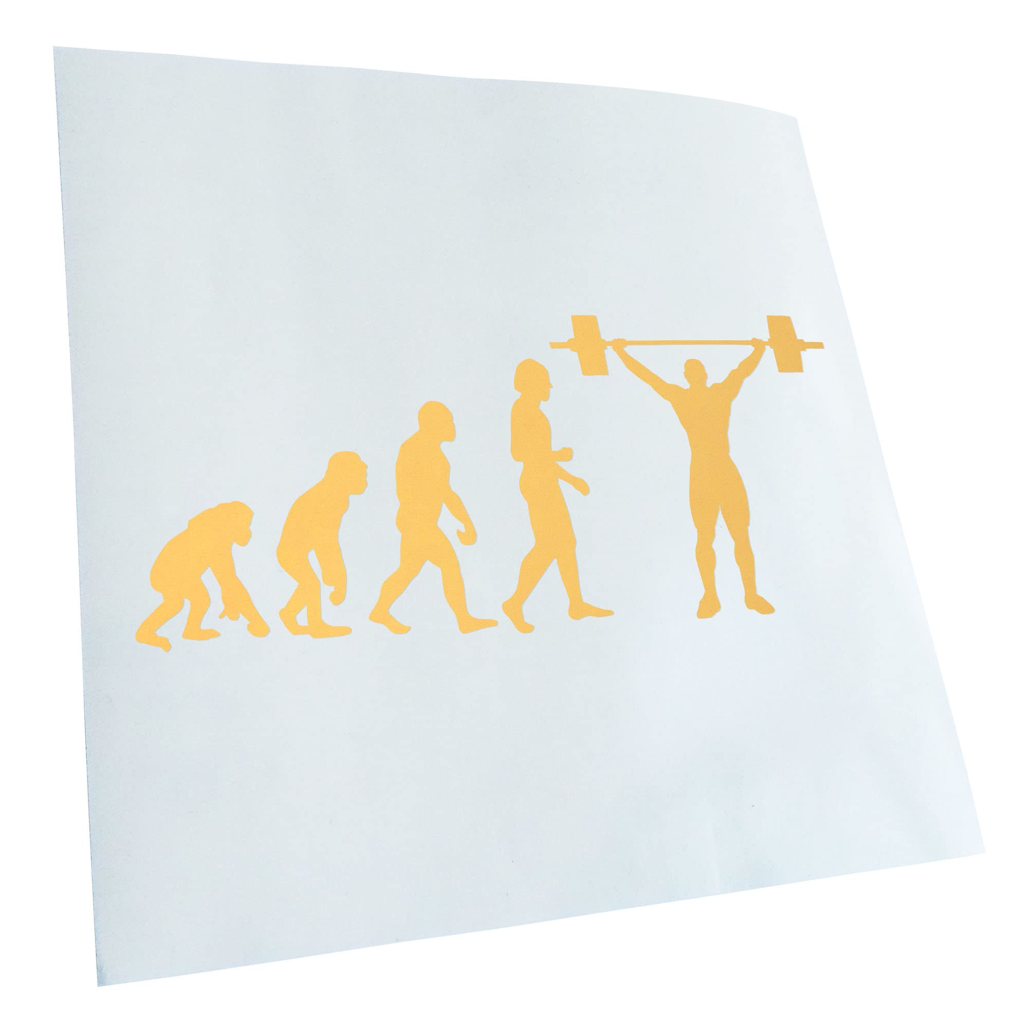 Kiwistar - Car Sticker - Cream - 40 x 17 cm Evolution Weightlifter - Rear Window Car Sticker Weatherproof for Car Truck Moped Truck - Sticker Exterior Self-Adhesive Tuning Accessories for Window