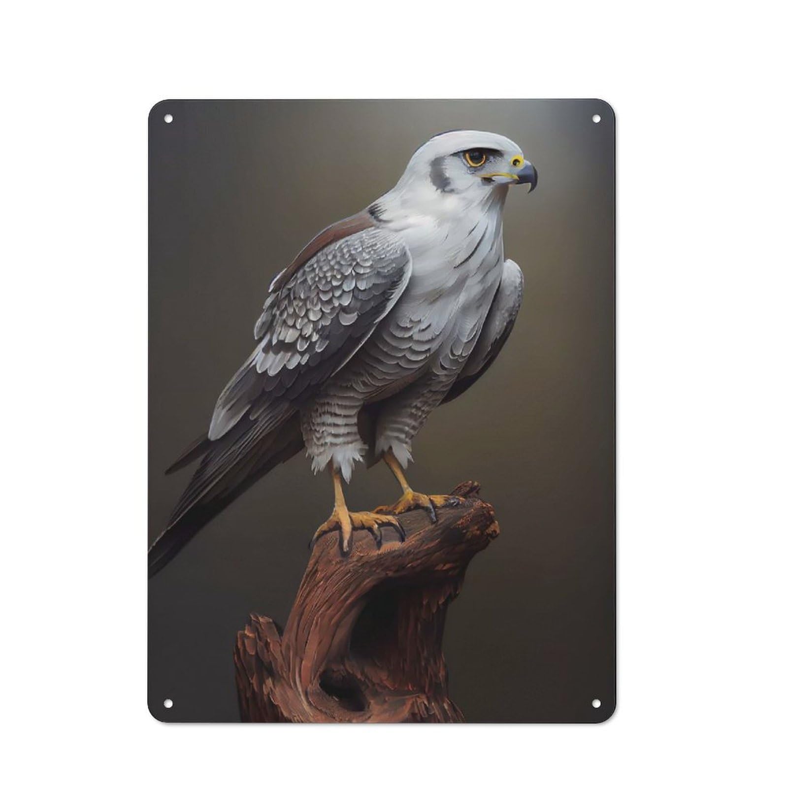 Junmoney Grey Falcon Oil Paint Tin Wall Plaque 40X30cm With For Hobby Room Or Studio, For Themed Interiors In Hobby Rooms And Studios