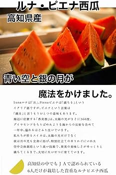 差別発言 アオイハナ様専用 スイカ ハンドメイド | tunegocio.pe