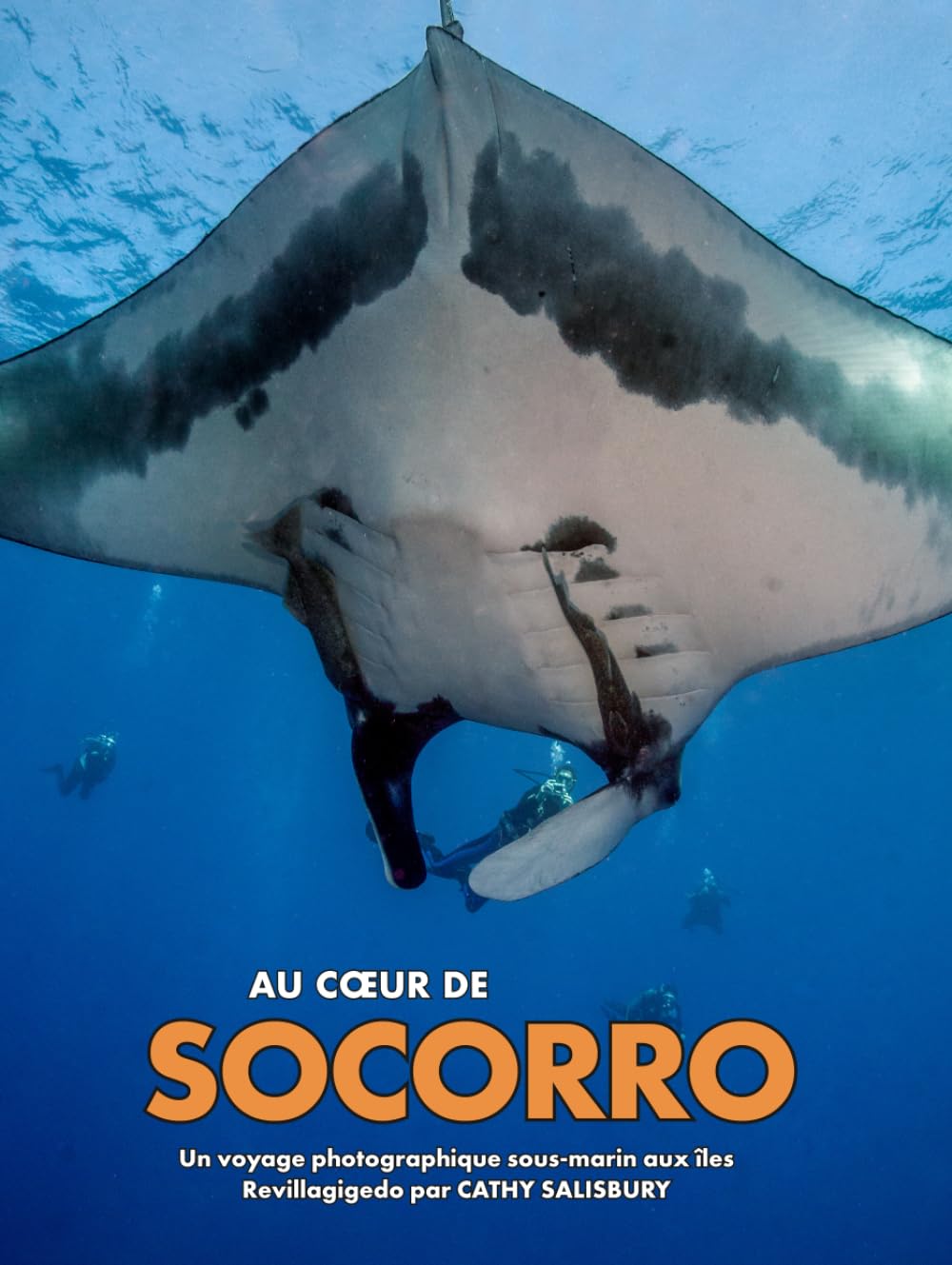Au cœur de SOCORRO: Un voyage photographique sous-marin dans les îles Revillagigedo