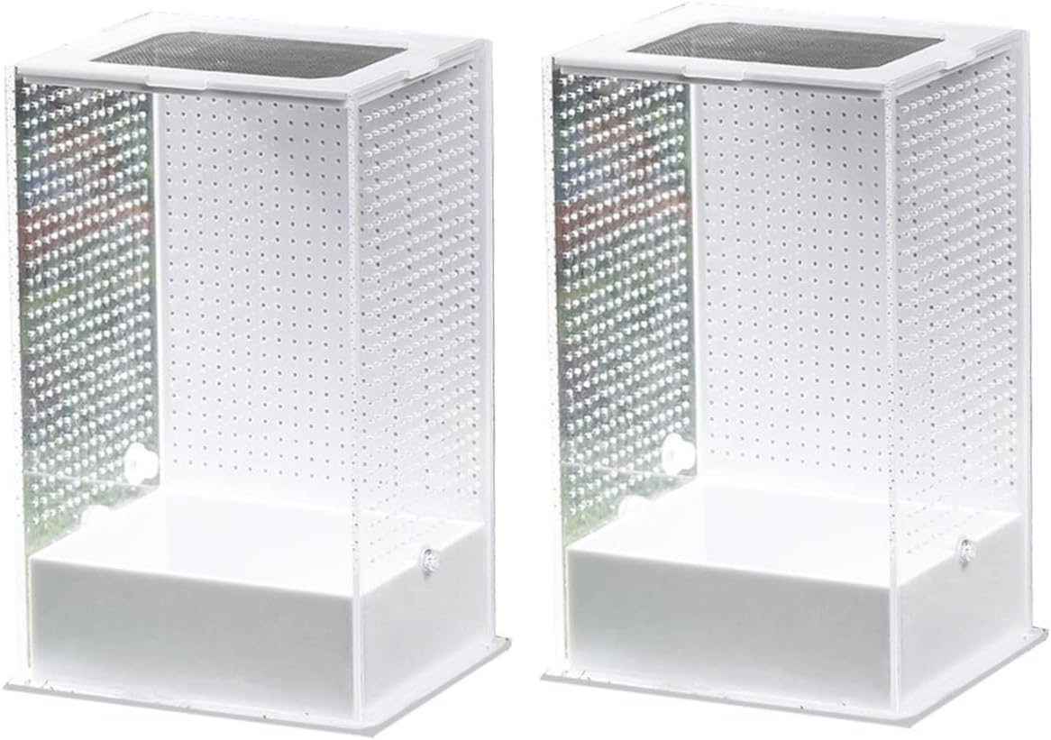 POPETPOP 2 Pcs Villa Box Reptiles Glass Containers Snail