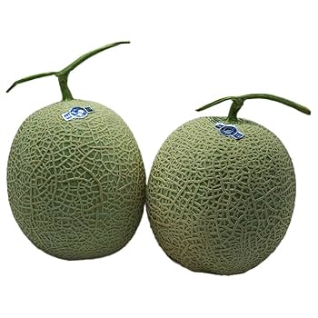 マスクメロンandアンデスメロン メロンの種類をご紹介！贈り物にぴったりの高級品種とは