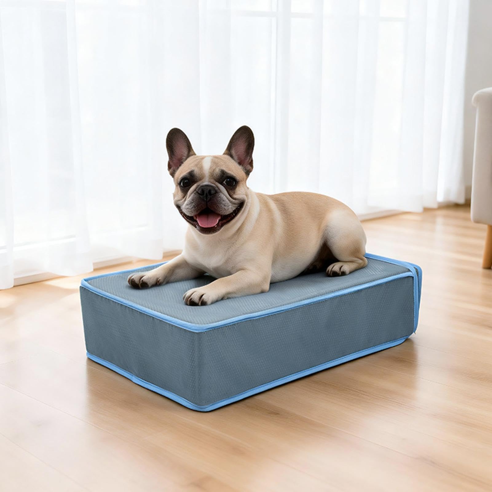 Tapis rafraîchissant pour chien - 51,5 x 38 x 14 cm - Lit lavable avec 5 blocs réfrigérants | Tapis rafraîchissant pour chat, chiot, chat, été, intérieur, voyage, boîte de transport