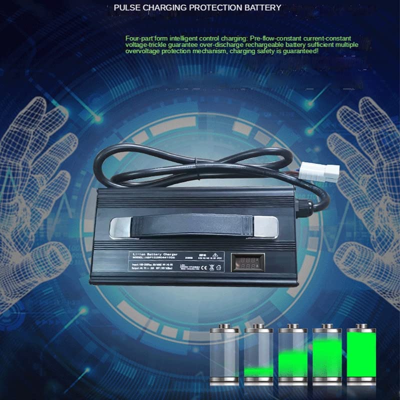 12v 4 0A 24V 30A 20A Chargeur 29. 2V 29.4V 14.6V 20A 25A 12.6V 30A 16.8V 40A for LIHIUM ION LIFEPO4 LI ION Lto Acide de Plomb de la Batterie (Color : 6S 16.8V LTO, Socket Standard : 30A)