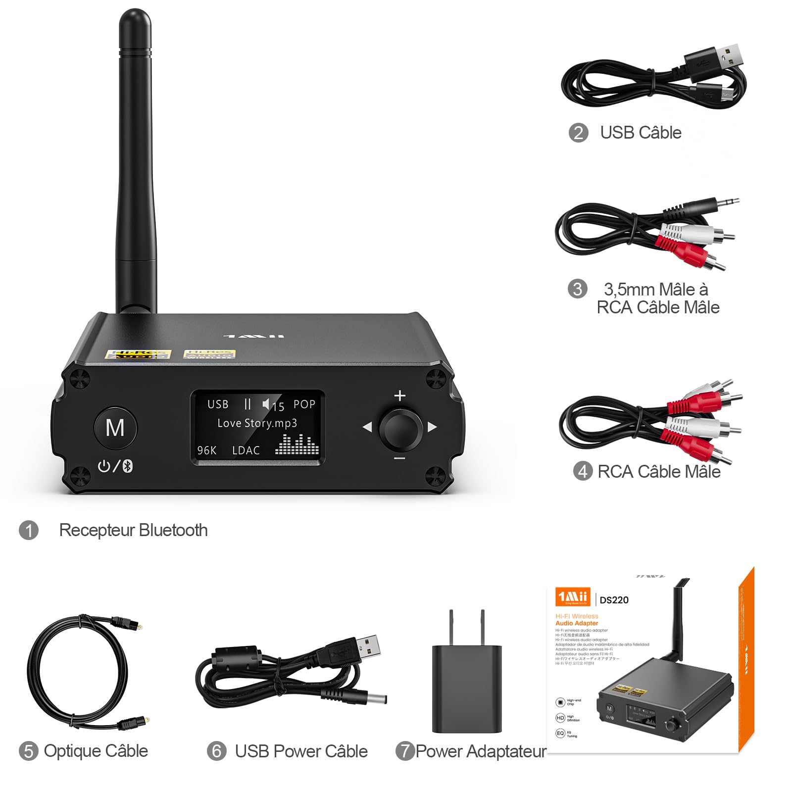 1Mii DS220 Recepteur Bluetooth Hi-Res pour Stéréo Domestique | avec LDAC, Adaptateur Audio HiFi Bluetooth 5.3 avec Audiophile DAC aptX HD Affichage OLED Mode