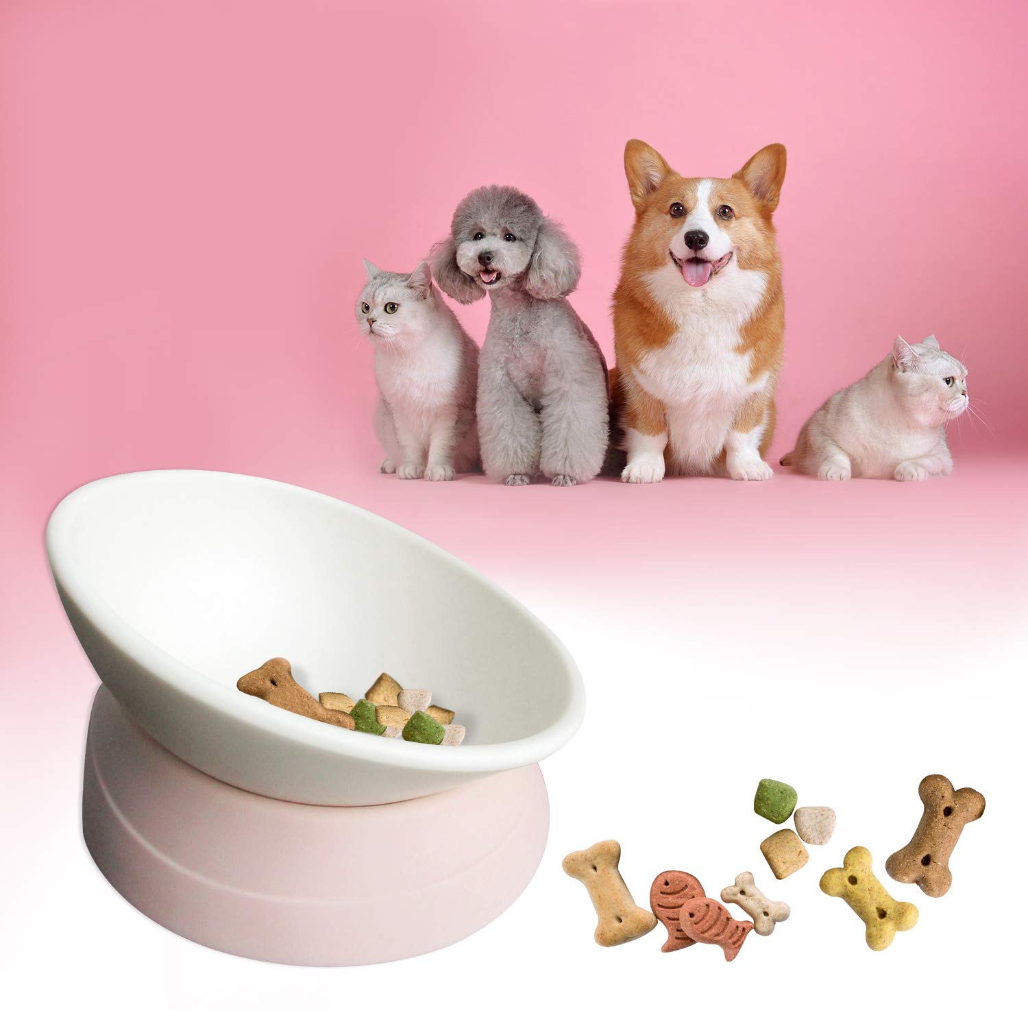 BNOSDM Silikon-Futternapf Flach – Für Hunde & Katzen Mit Kurzer Nase, Spülmaschinenfest, 2er-Set