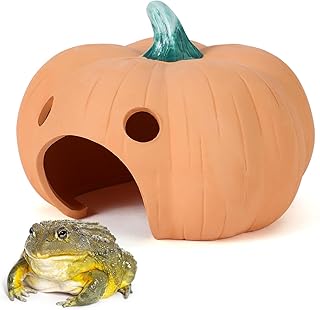 Frog House For Garden Picks collage image 4