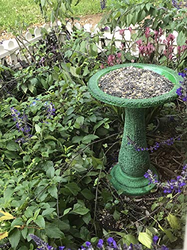 image for Exaco FM-2470G int Dark and Light Green Bird Bath