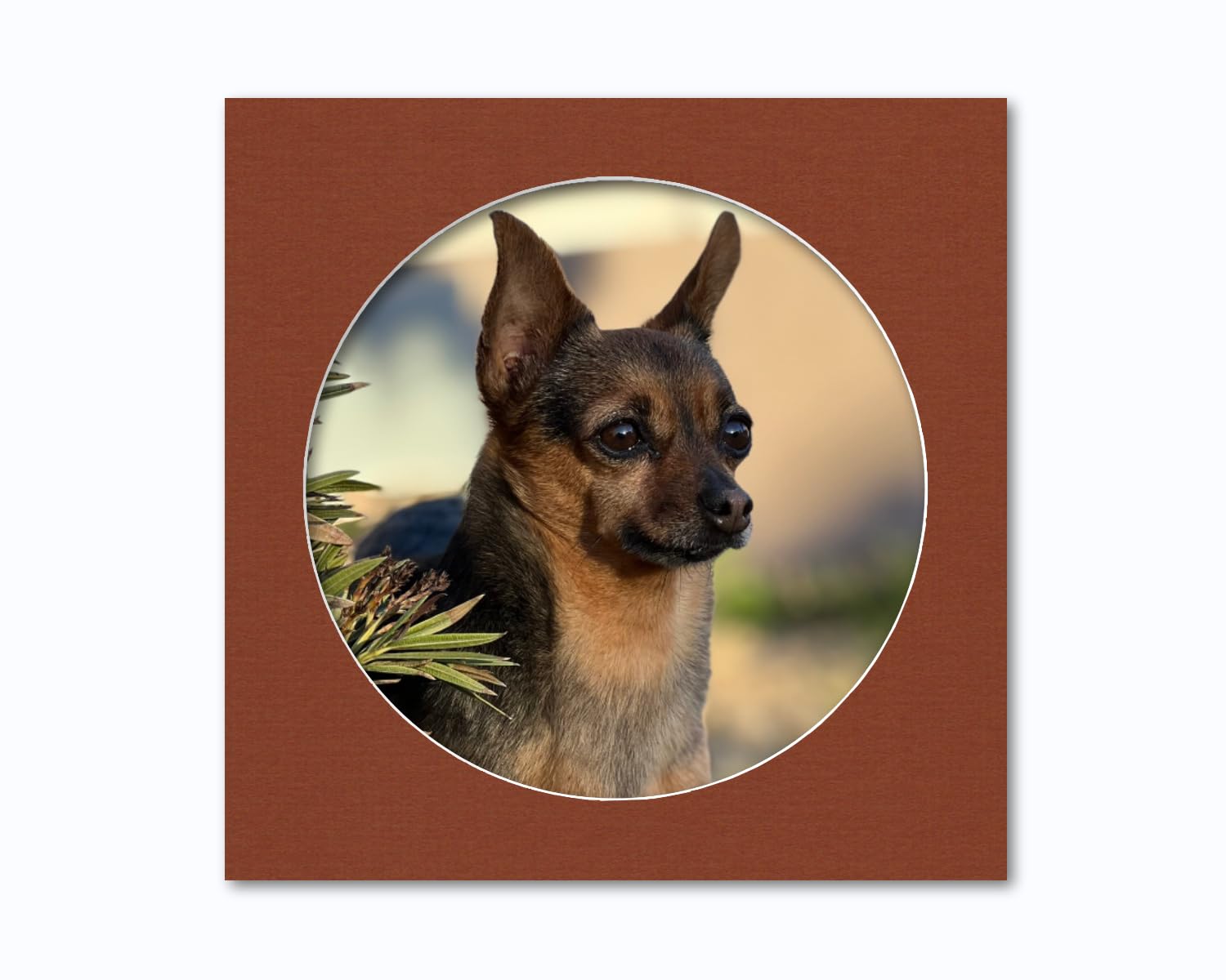 Pack of (2) 16x20 Acid Free White Core Picture Mats Cut for 12x16 Pictures in Sheer Blue