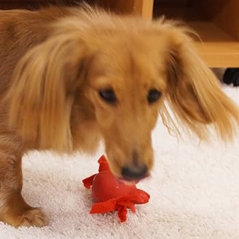 Amazon | ドギーマン どきどきラテックス うみのなかま ひらひらカニ Amazon | ドギーマン どきどきラテックス うみのなかま ひらひらカニ