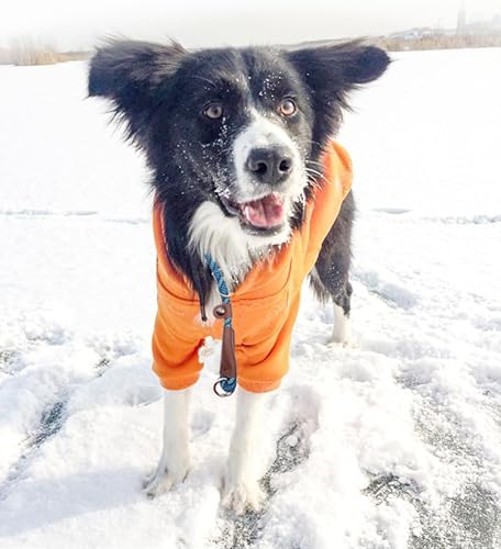 Miniatura 4 de YUCFOREN Collar para perro, collar redondo de entrenamiento de nailon sin tirones, con tapón deslizante, 13 x 20 pulgadas, 12 x 24 pulgadas