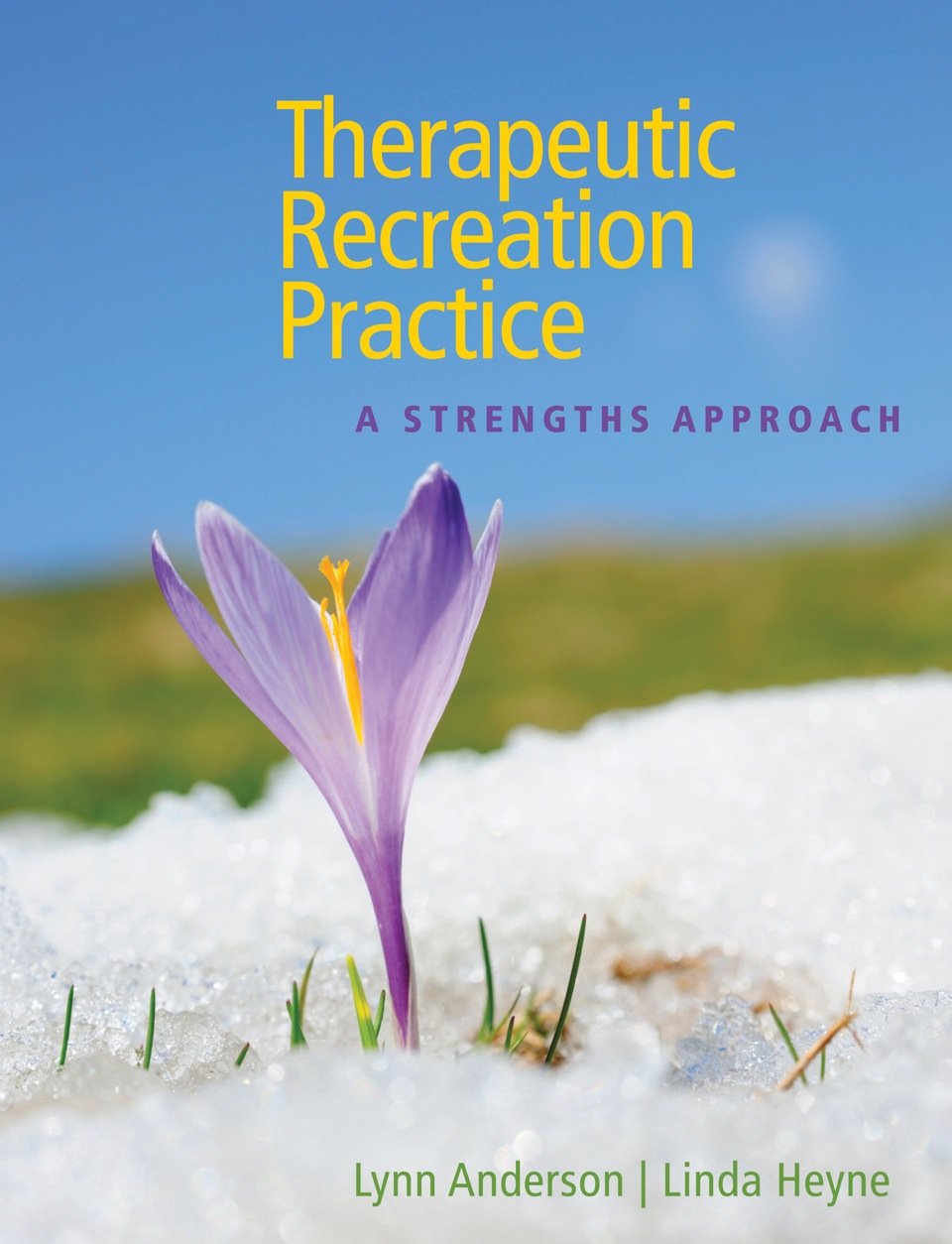 Therapeutic Recreation Practice: A Strengths Approach Book