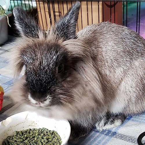 Sherwood Pet Health Adult Rabbit Food Alfalfa Timothy Hay-Based Blend 4.5 lbs, Grain and Soy-Free for Better Digestion