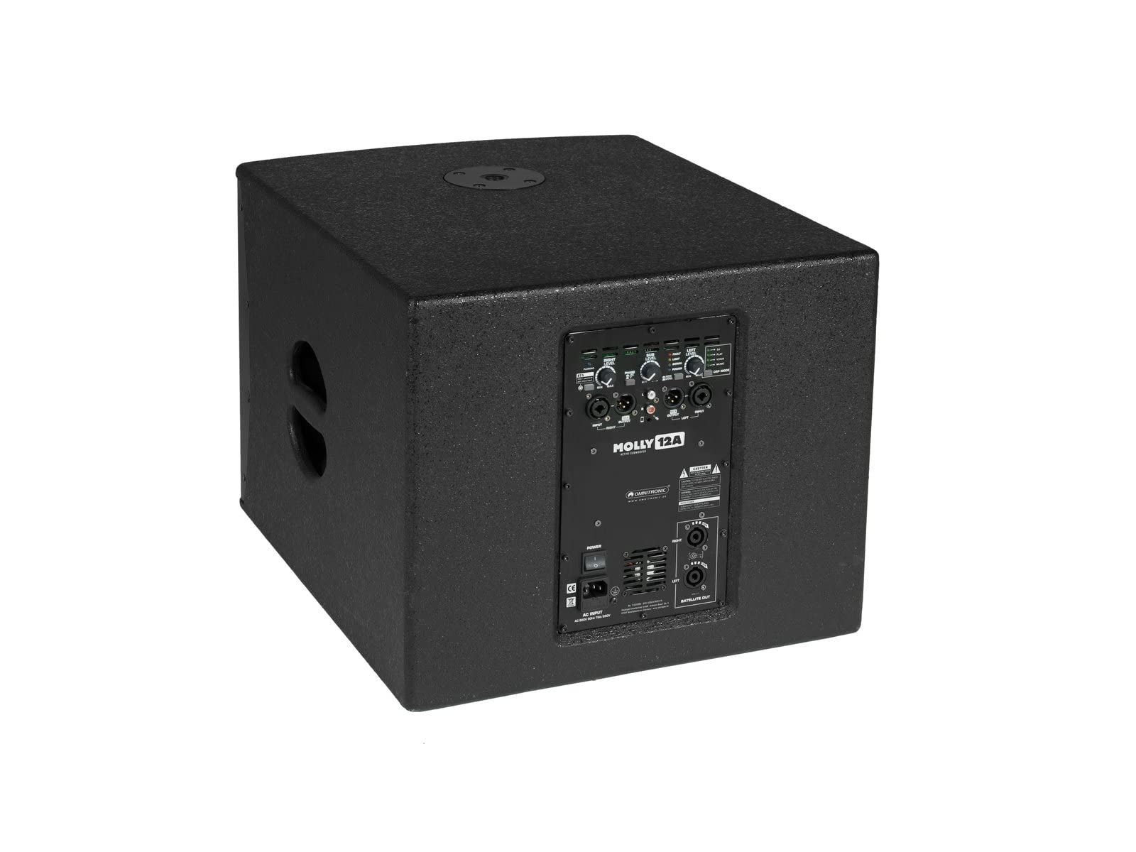 OMNITRONIC MOLLY-12A Subwoofer aktiv schwarz | Aktiver 12"-Subwoofer mit DSP und Bluetooth