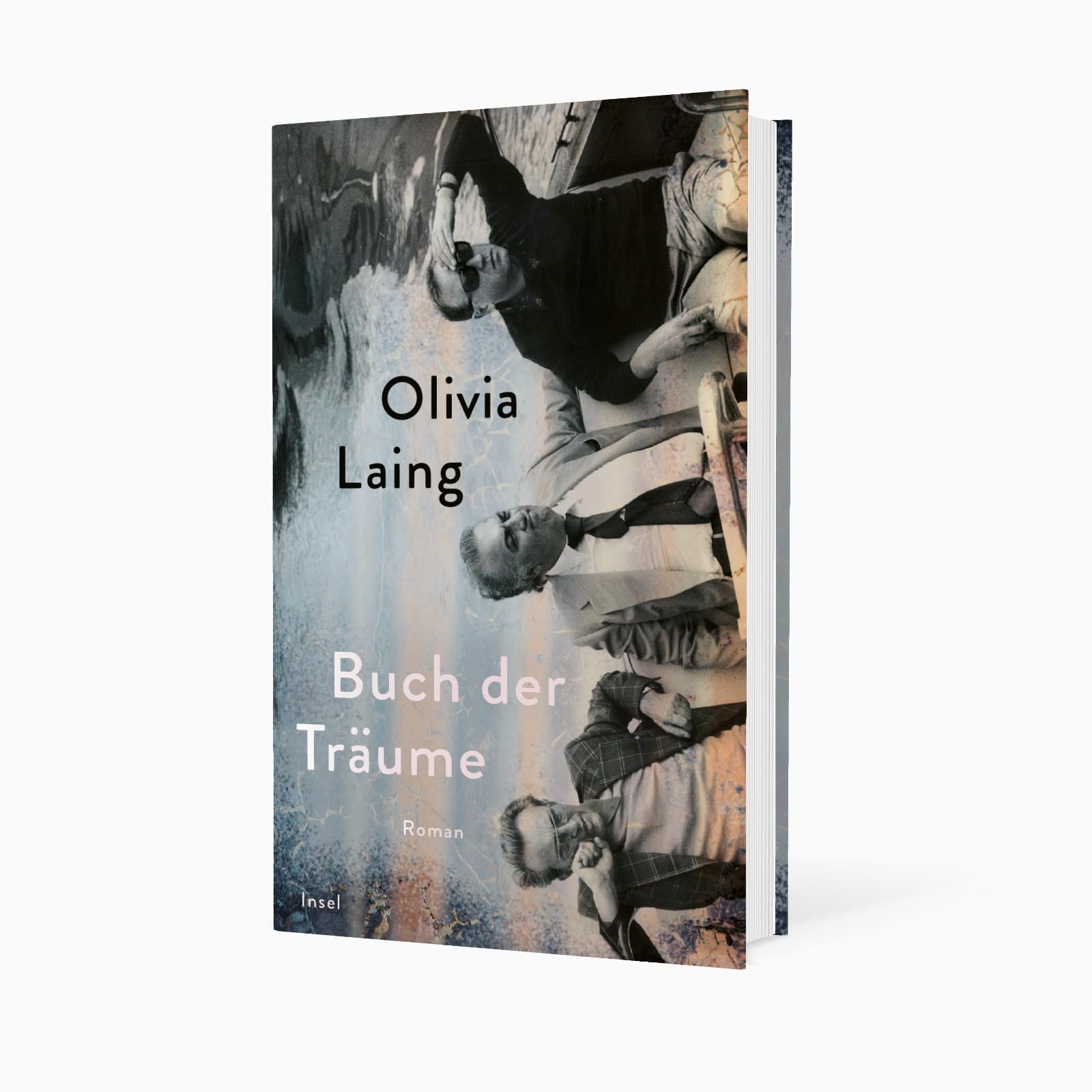Buch der Träume: Roman | »Eine der ganz großen Stimmen unserer Zeit.« Daniel Schreiber | Eine hypnotische queere Liebesgeschichte | Die glamouröse Welt des Kinos im Italien der 70er-Jahre