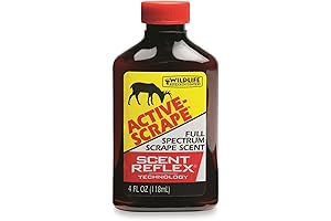 Active Scrape: The Ultimate Scraping Solution